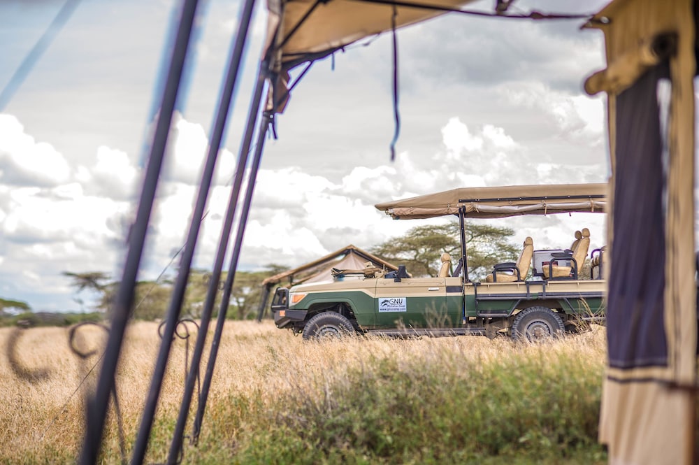 Gnu Mara River Camp 48/50