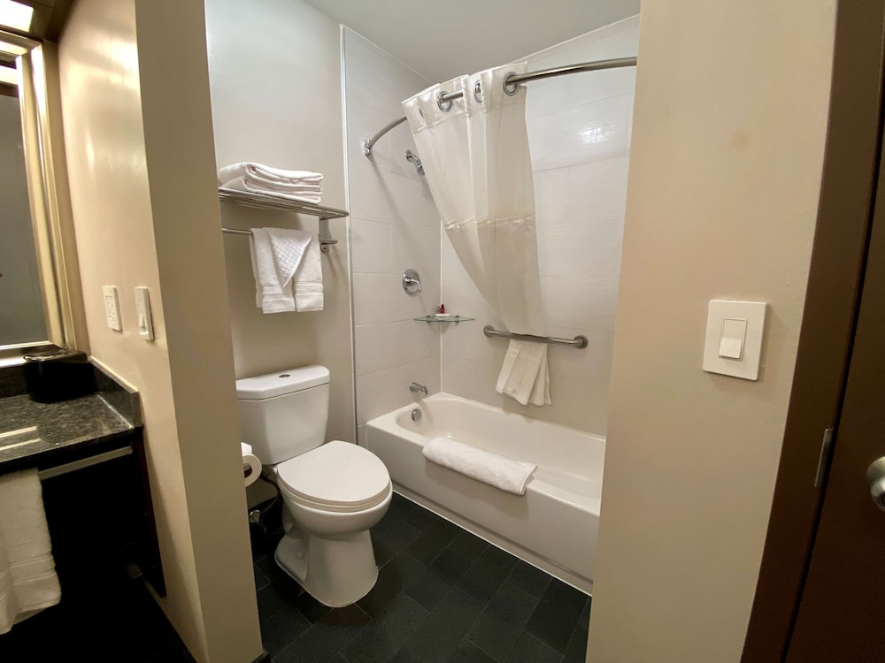Radisson Hotel Southfield-Detroit 20/53