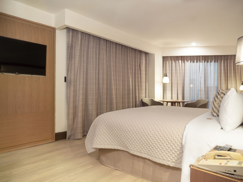 MS Milenium Monterrey Curio Collection by Hilton 23/77