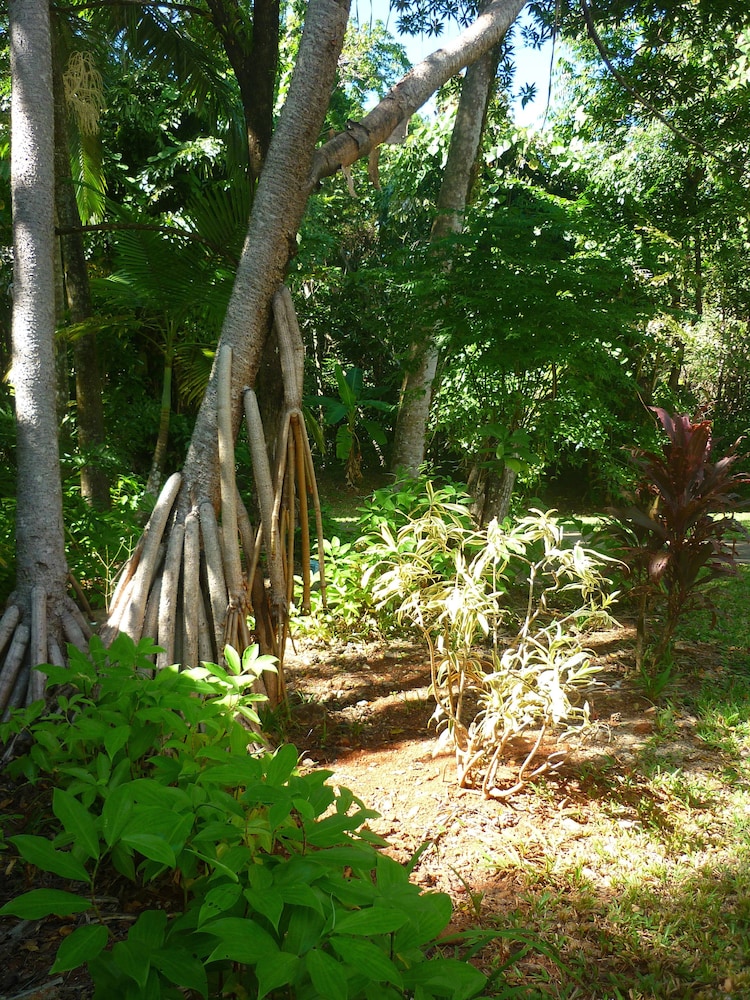 Ferntree Rainforest Lodge 37/46