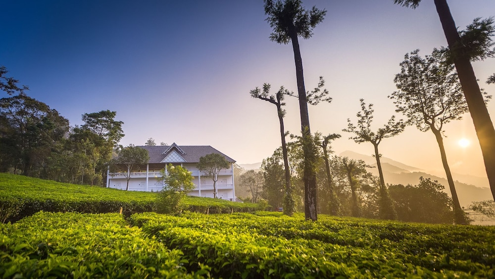 Tea Harvester Munnar 33/50