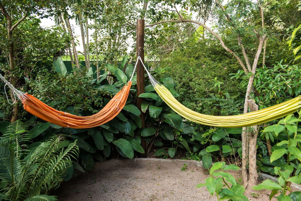 Natur Campeche Hotel 37/67