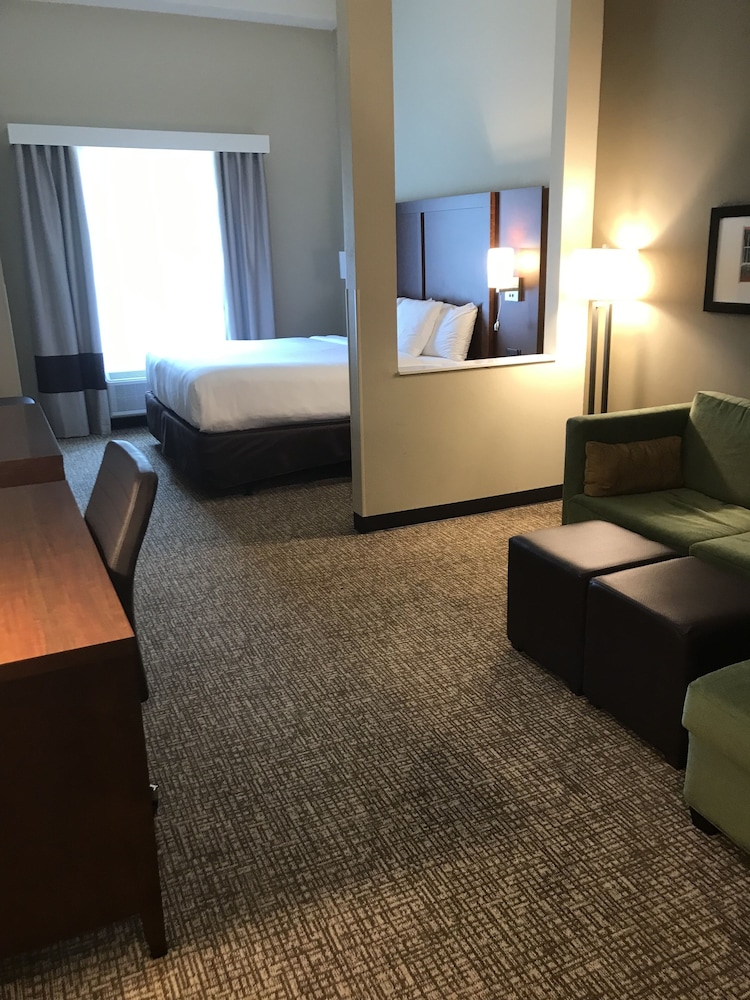 Comfort Suites Summerville 13/19