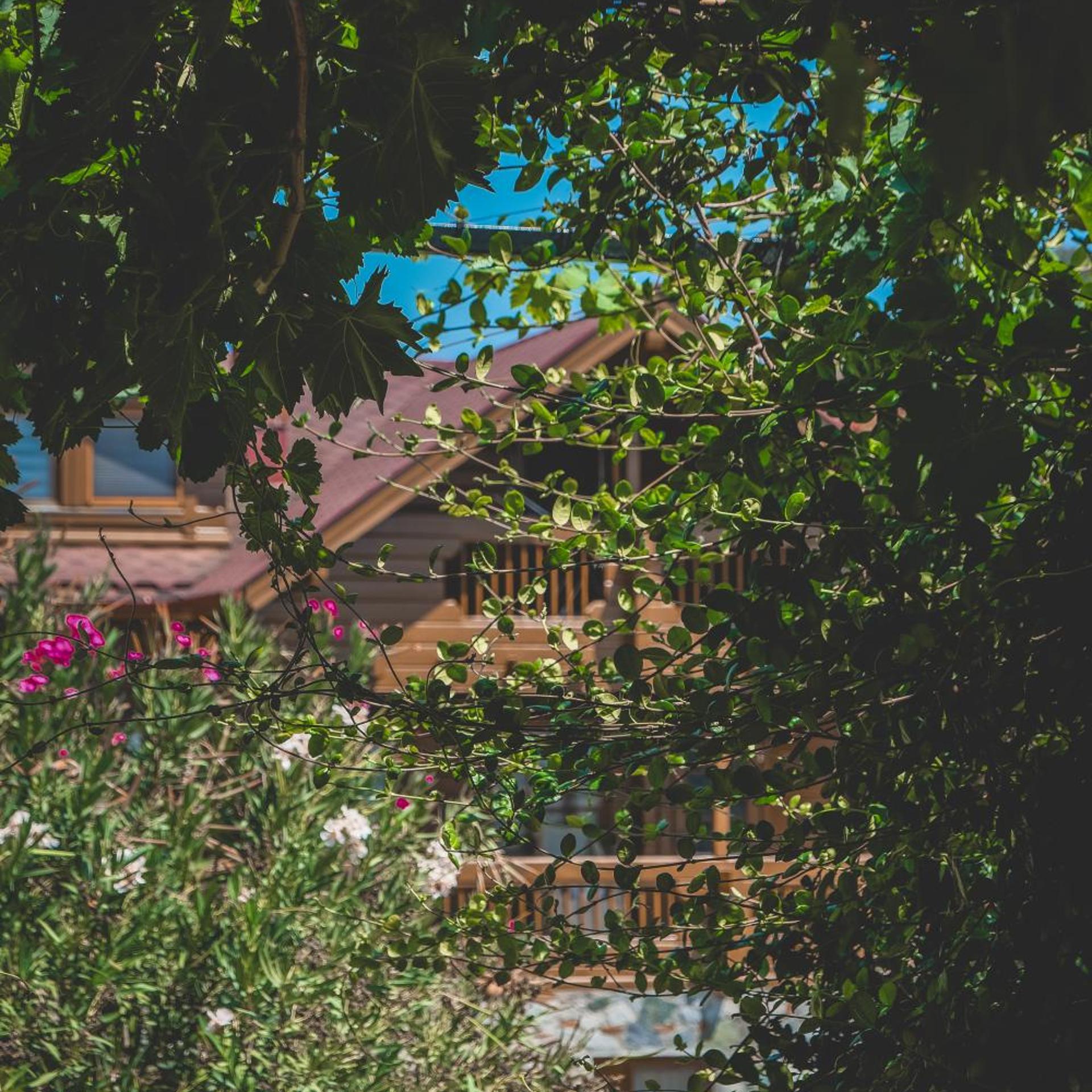 Natureland Efes Pension 50/56