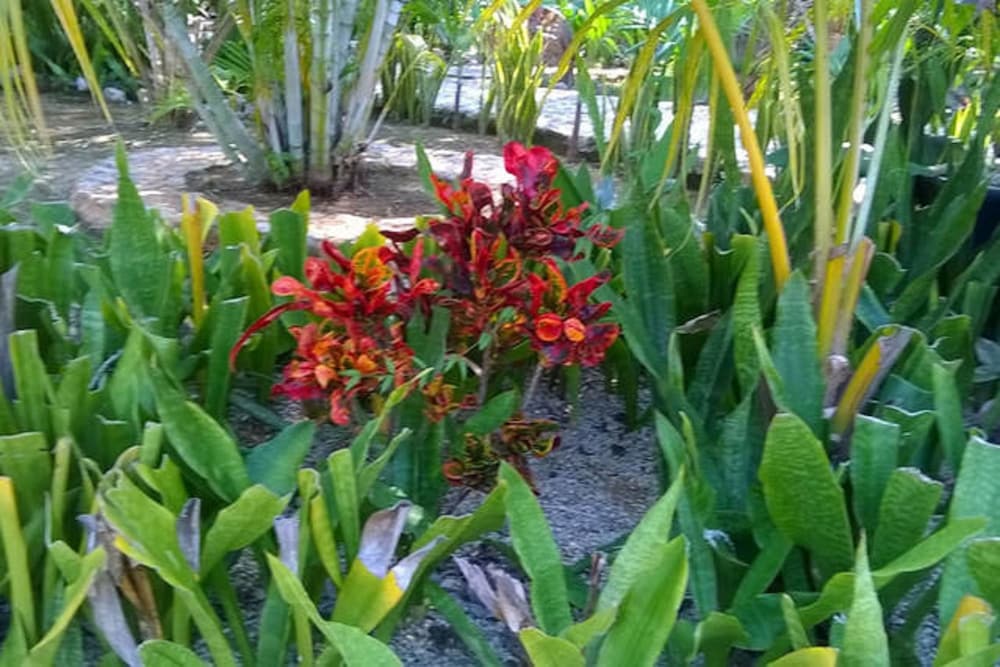 Villa Tortugas Residence 15/34