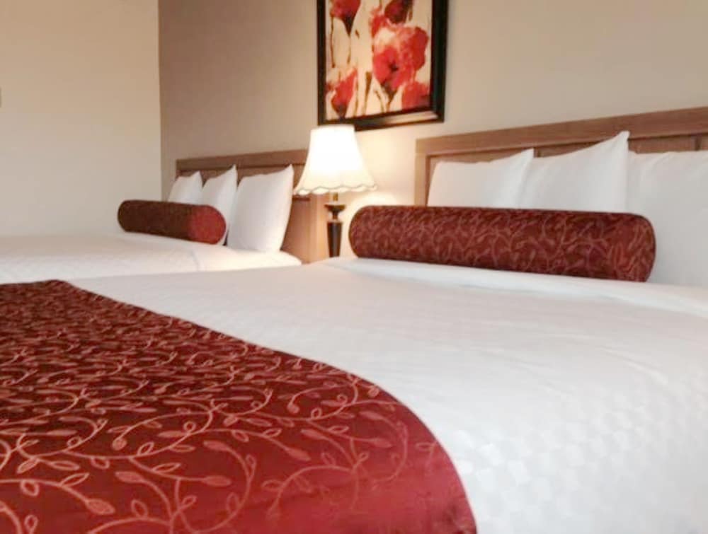 Auberge Du Grand Lac 22/50