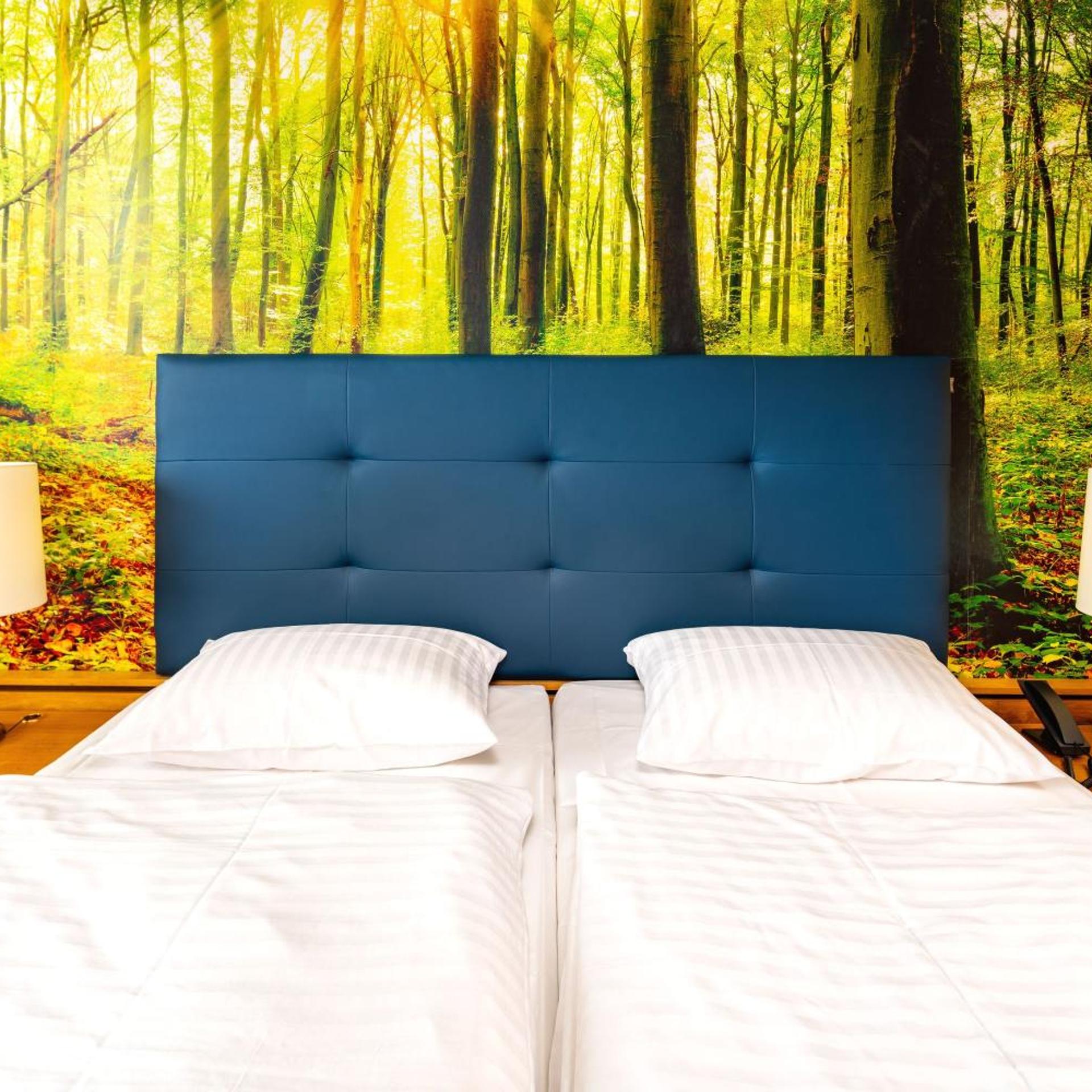 Panorama, Double Bed، AHORN Harz Hotel Braunlage 5/7