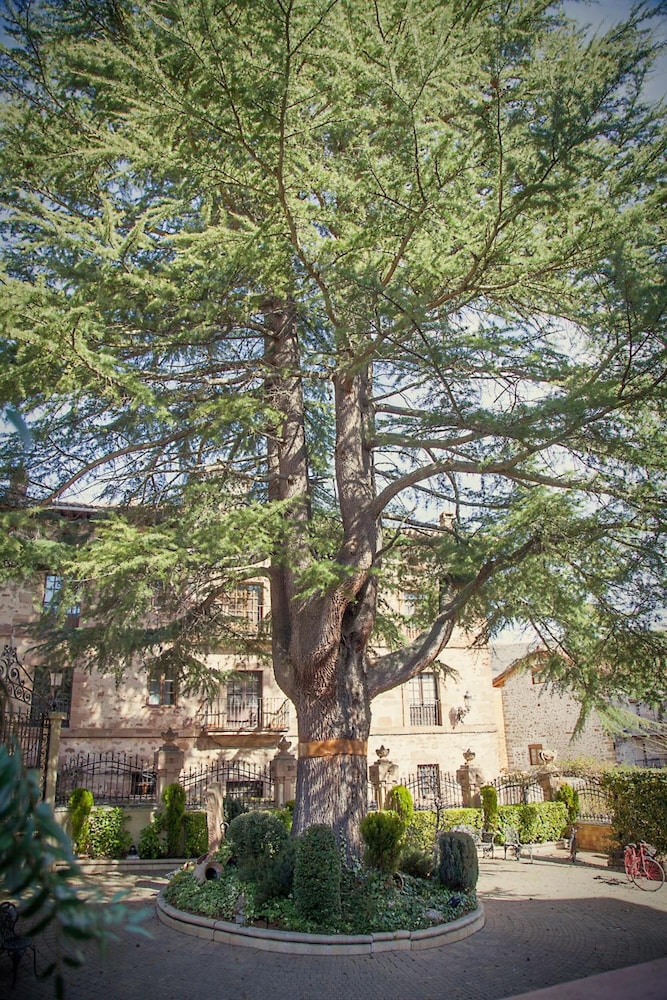 Palacio Azcarate Hotel 56/58