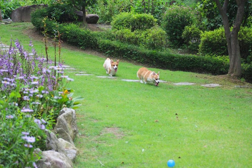 Yangpyeong Dorothy Velly Pension 23/39