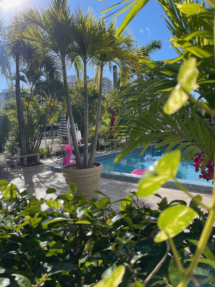 Ocean Mile Hotel 59/65
