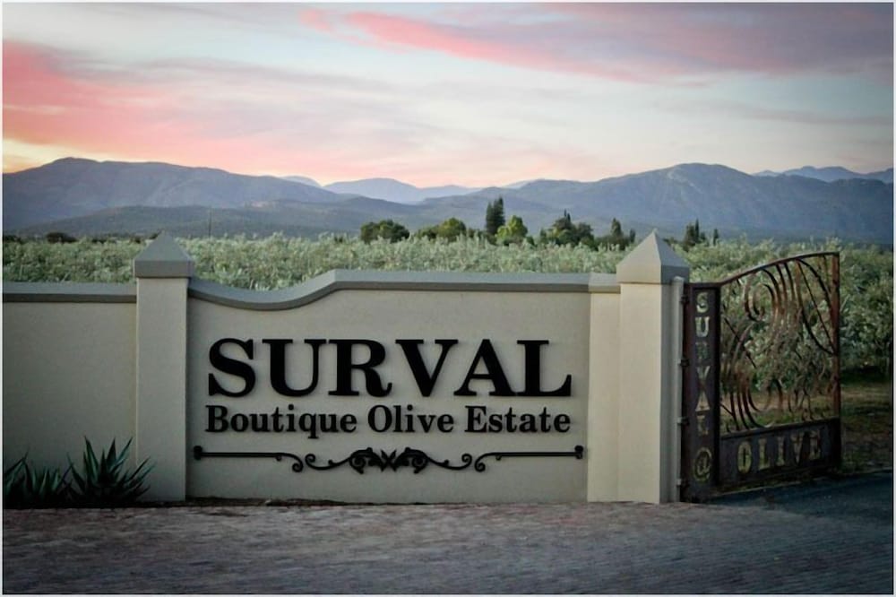 Surval Boutique Olive Estate 5/50