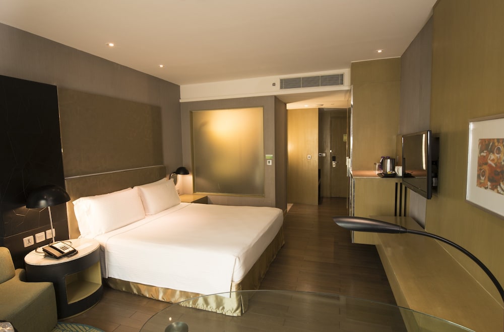 Holiday Inn New Delhi Aerocity by IHG 31/79