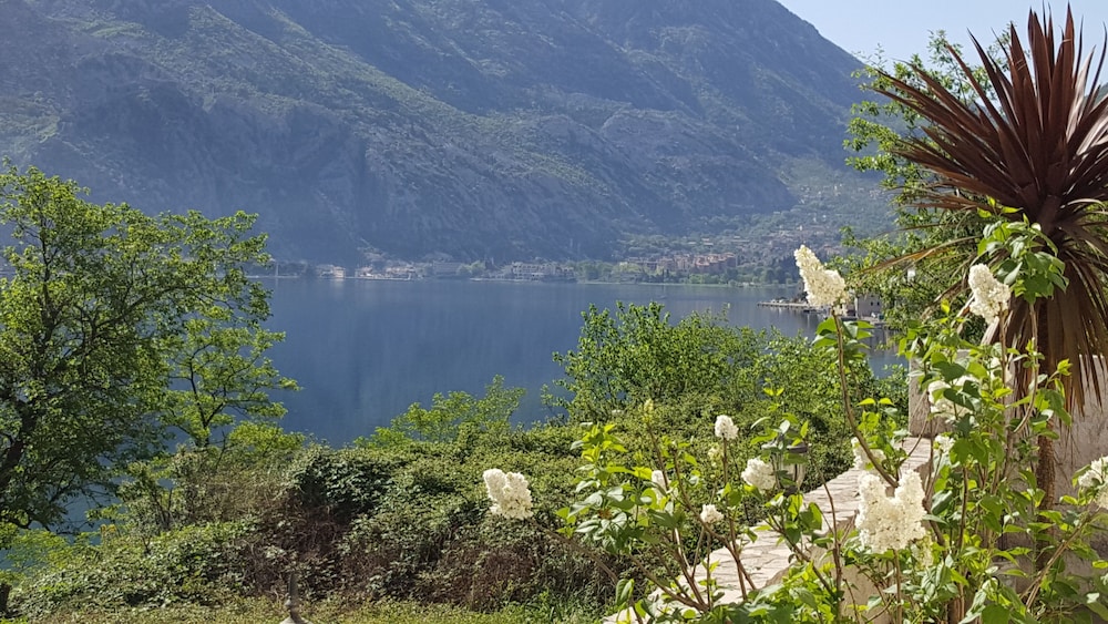 Hotel Galia 39/50