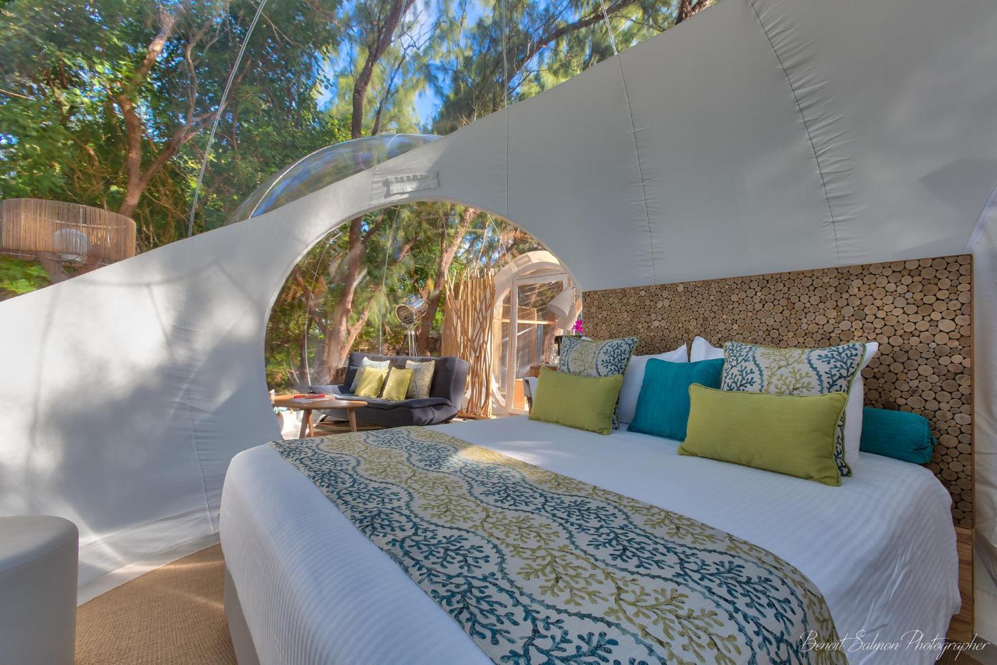Paradise, Ocean, Basement
