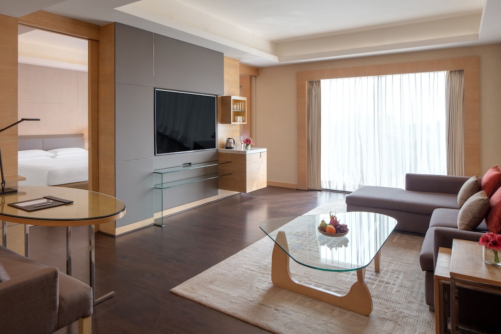 HYATT REGENCY CHANDIGARH 26/50