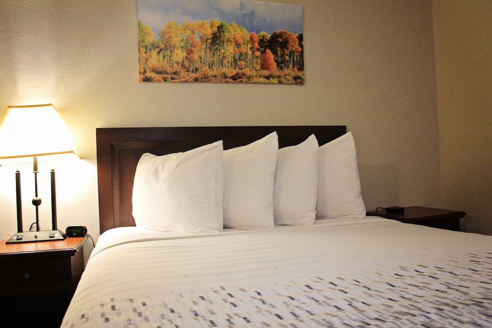 Bowen Motel photo4
