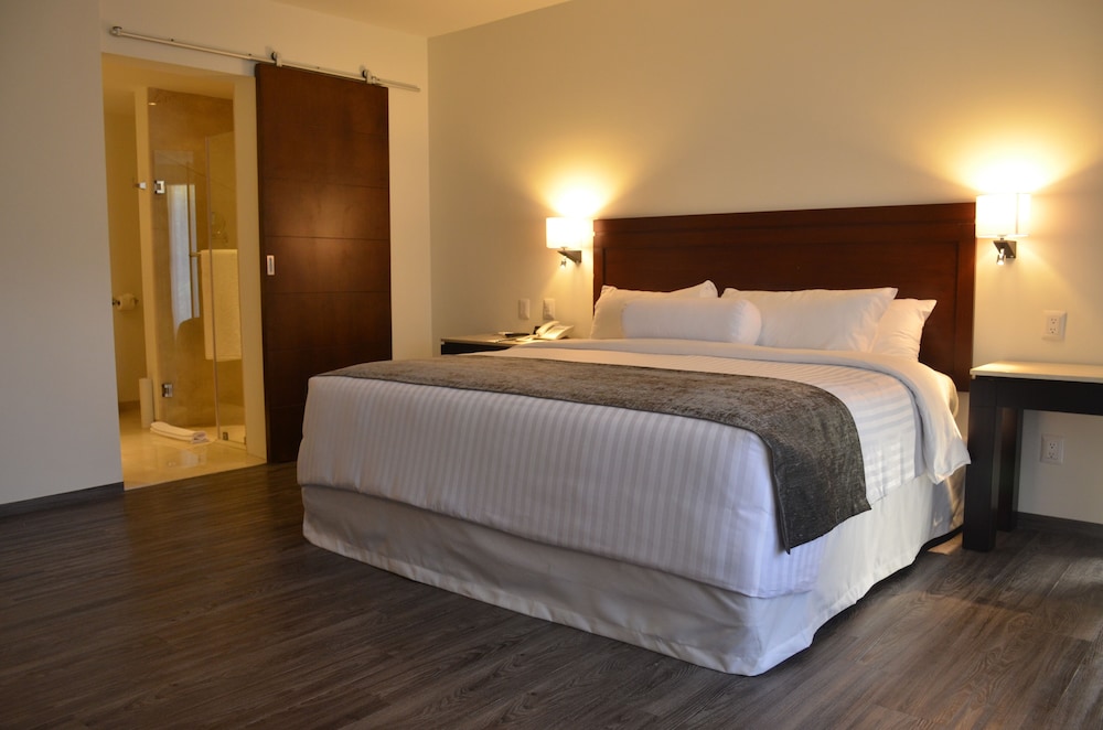 Hotel Gobernador 18/49