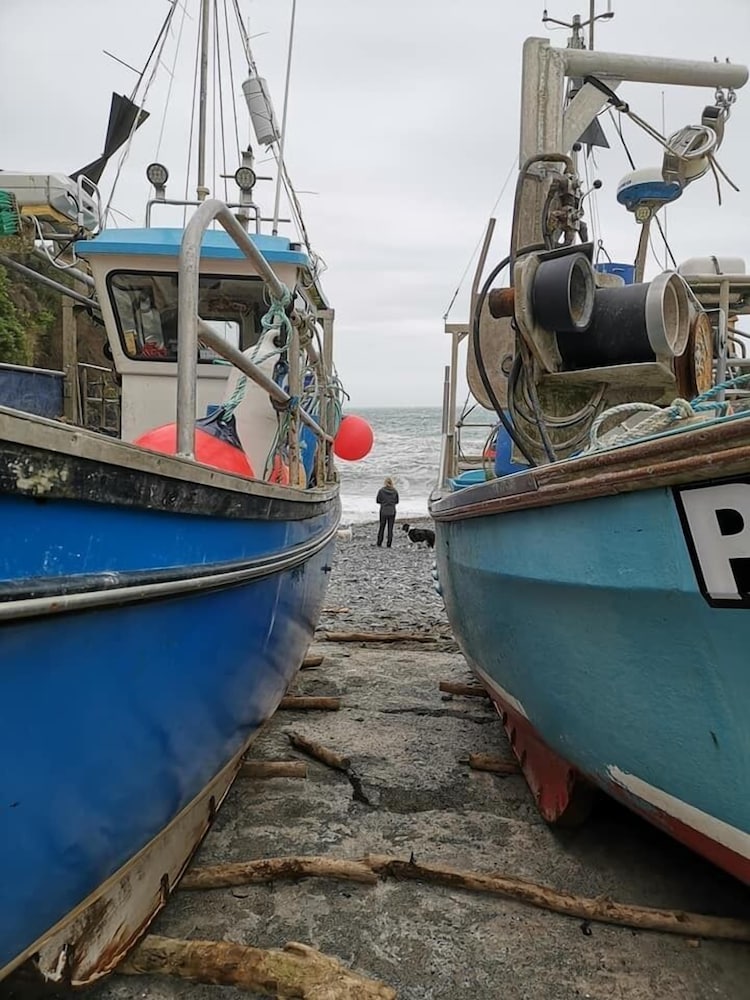 Cadgwith Cove Inn 43/50