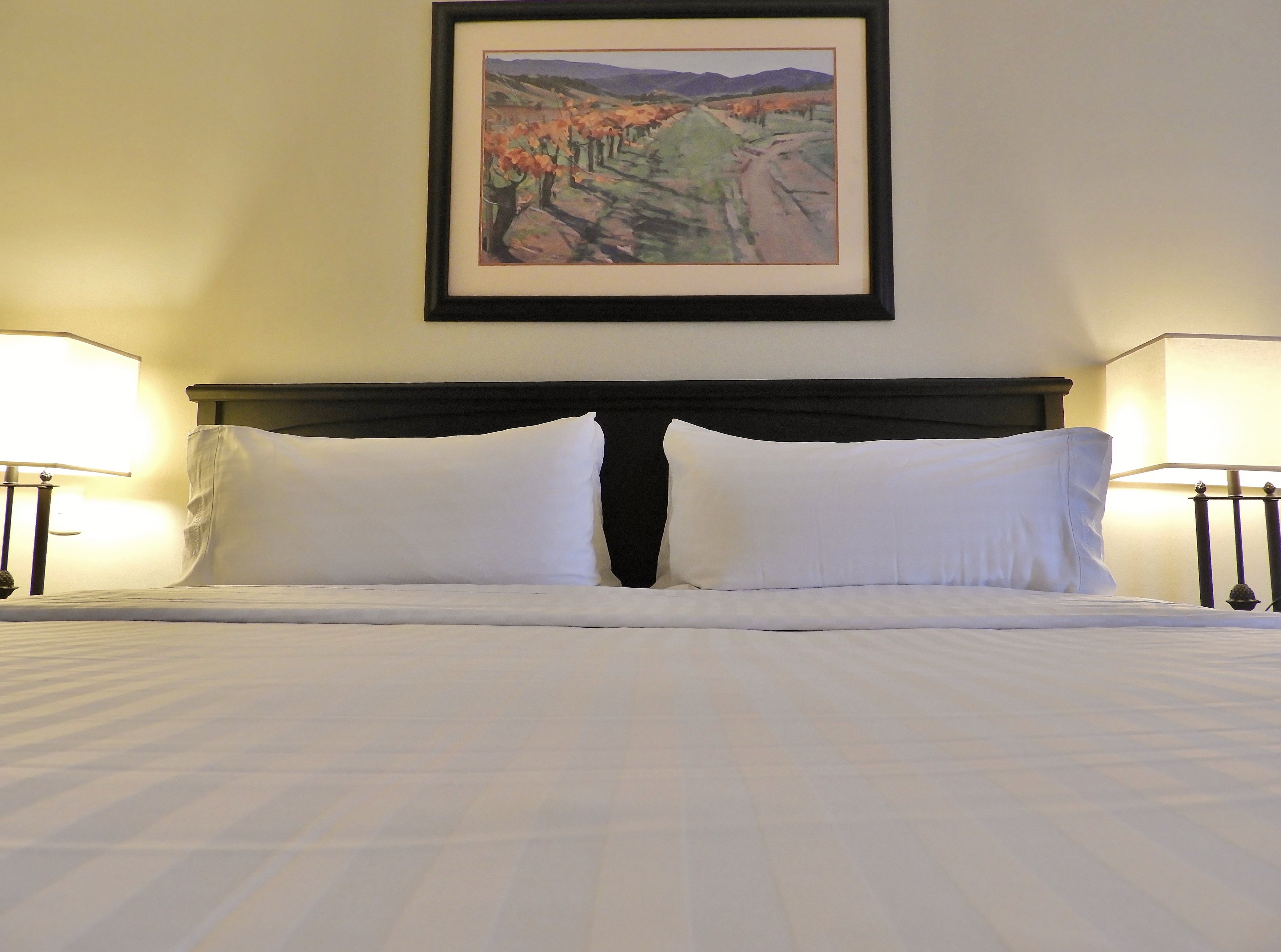 Holiday Inn Reynosa Zona Dorada 17/50