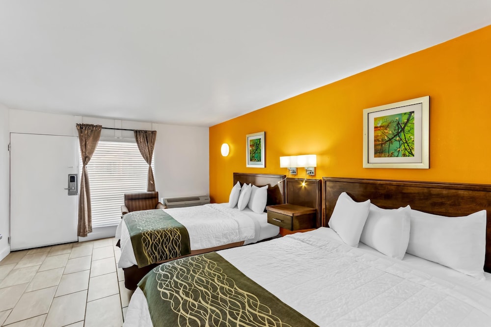 Room, 2 Queen Beds