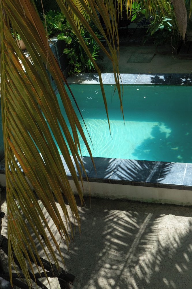 La Puerta Azul Beachfront Adults Only 22/50