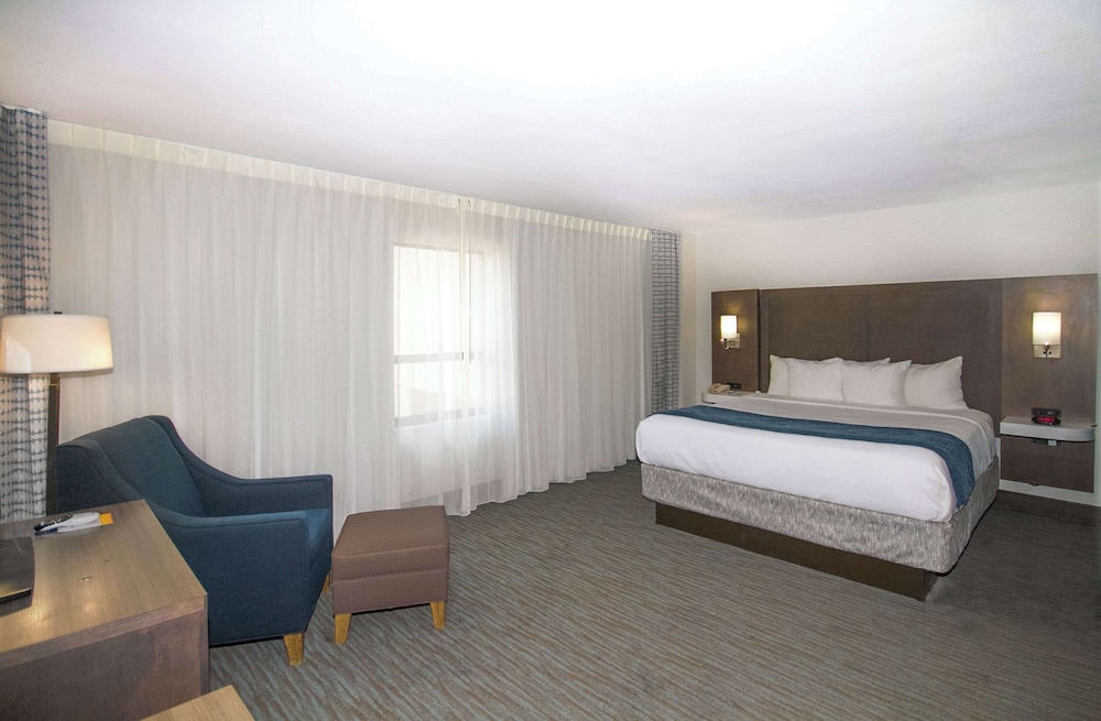 ROOM, KING BED