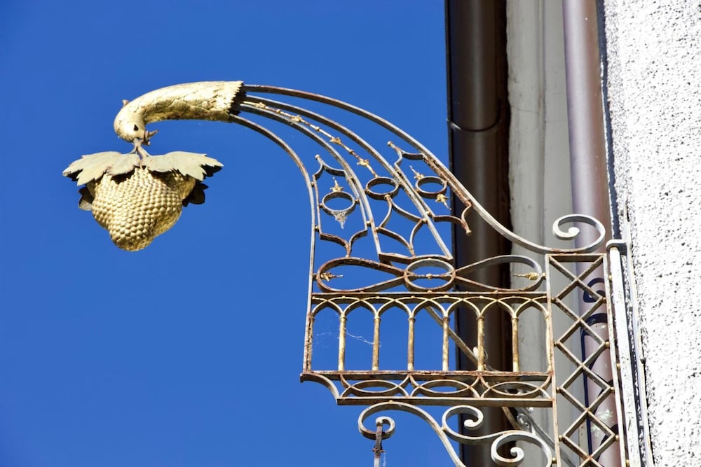 Hotel Goldene Traube 41/50