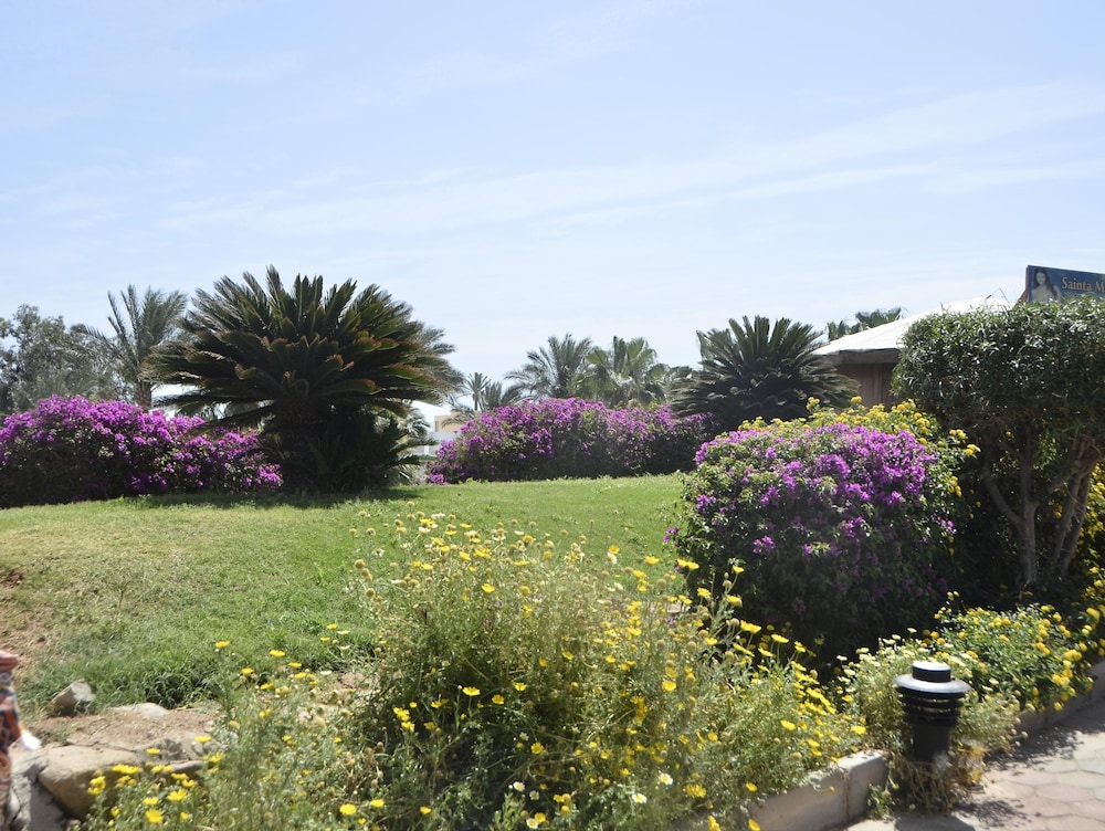 Queen Sharm Resort 48/50