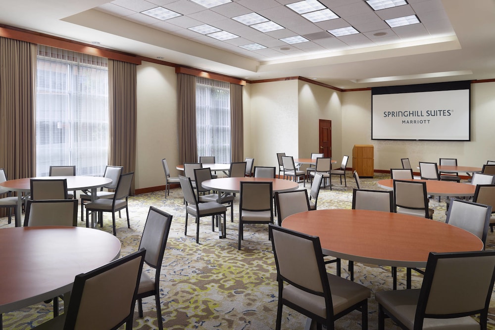 SpringHill Suites by Marriott Atlanta Buckhead 24/32