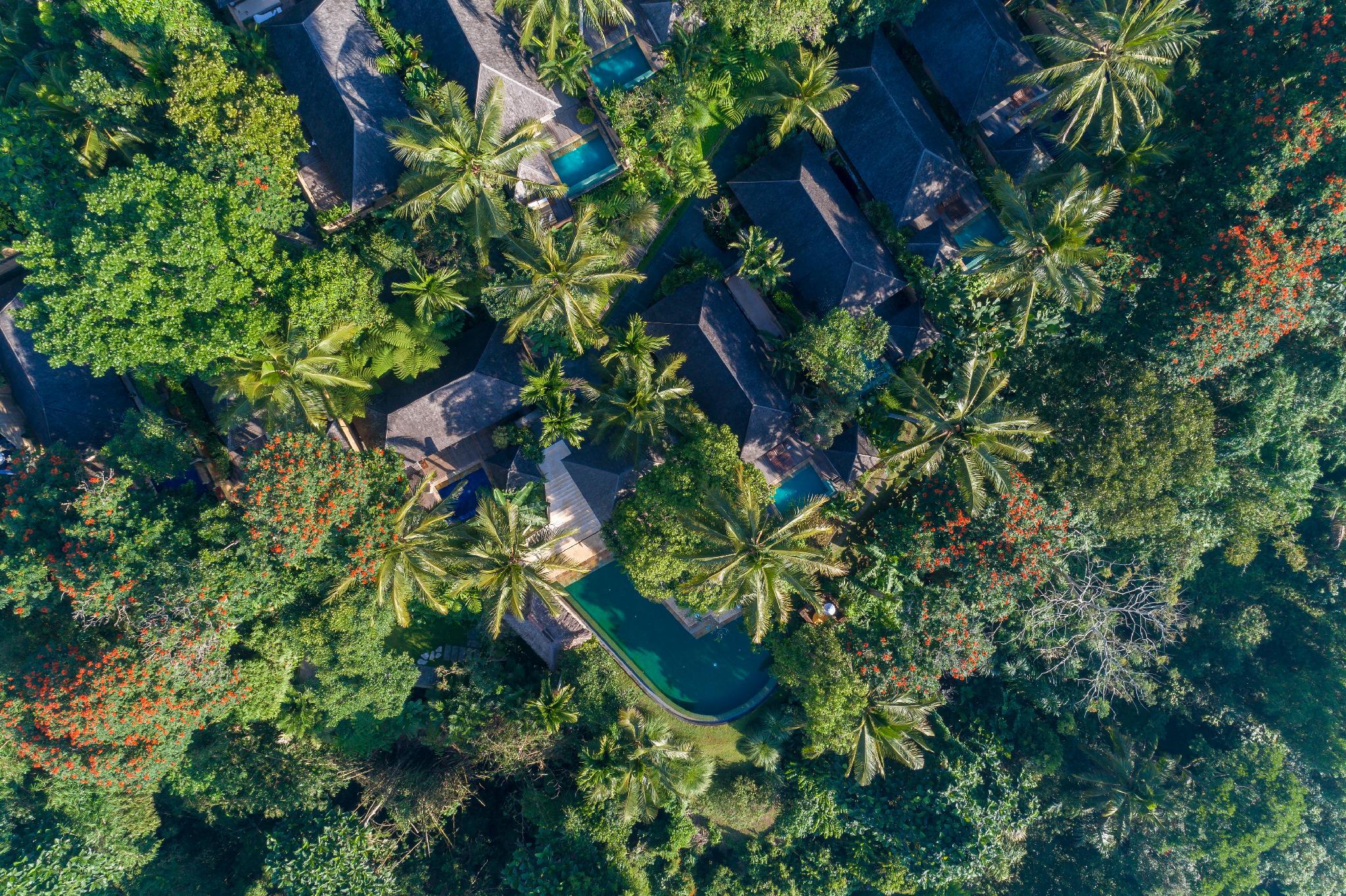 KOMANEKA AT TANGGAYUDA