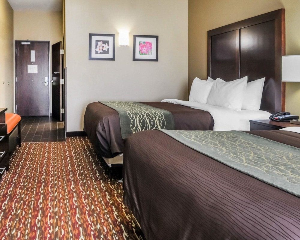 Comfort Inn & Suites Artesia, NM 13/40