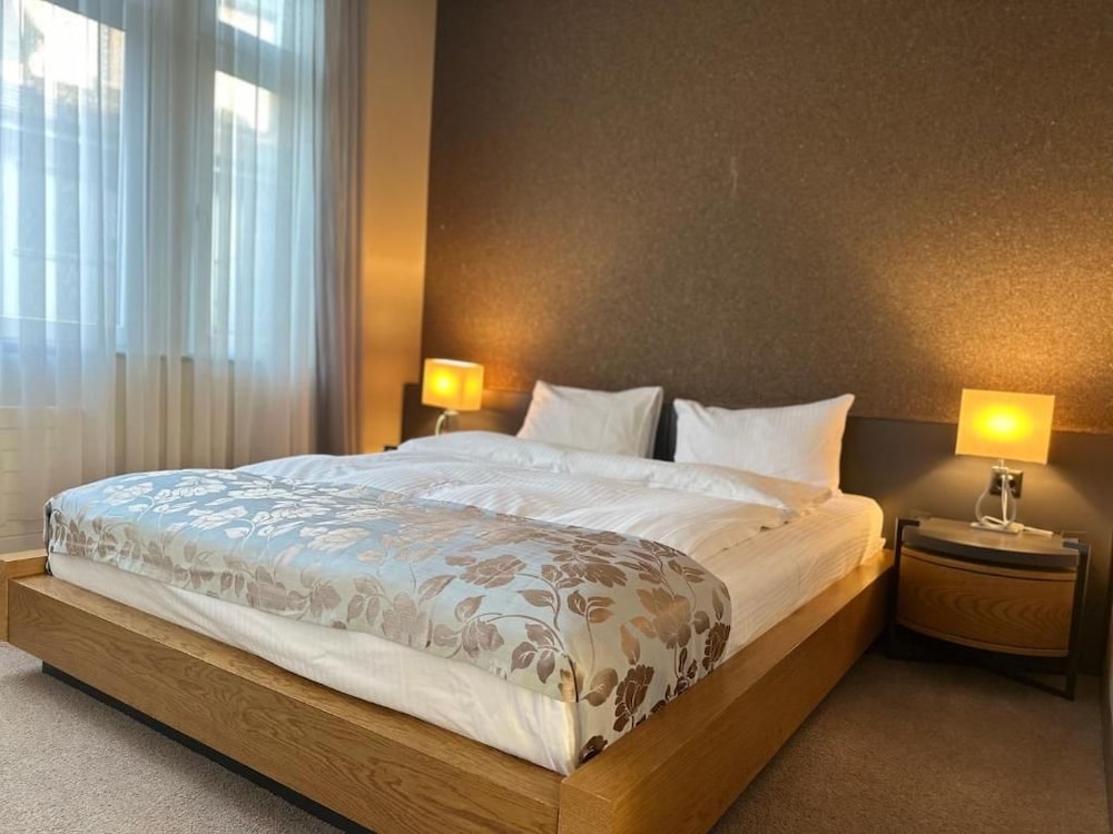 Hotel Plaza Winterthur 18/61