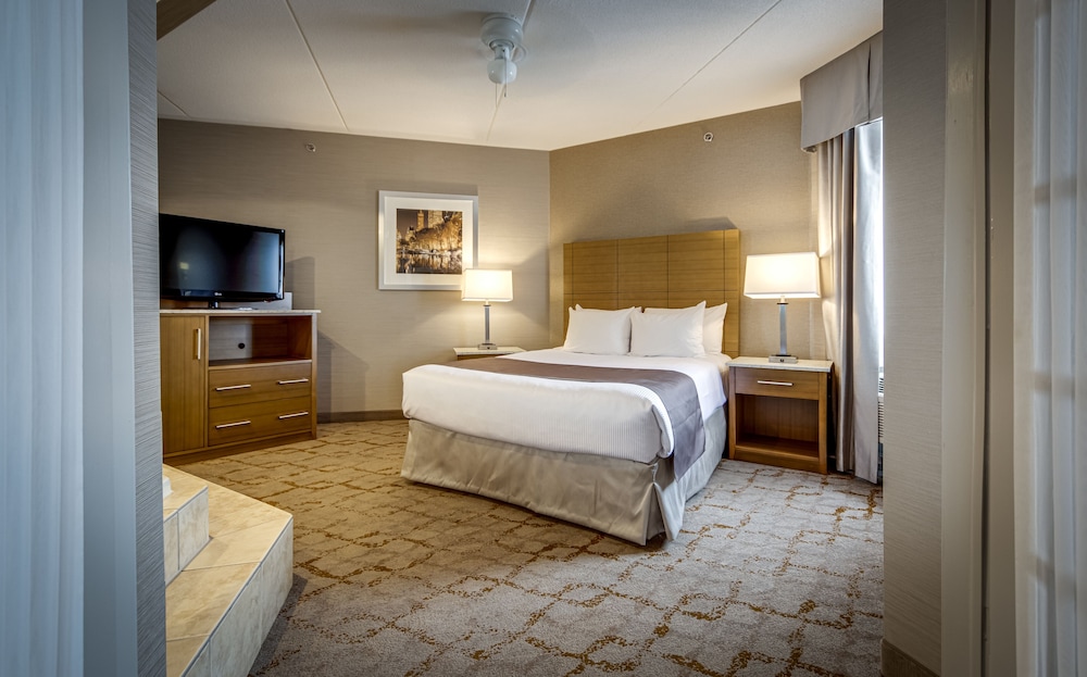 Monte Carlo Inn Vaughan Suites 13/65