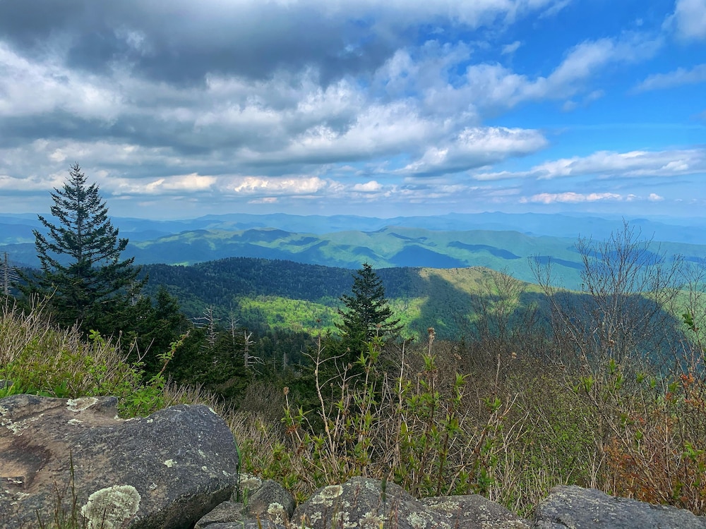 New Hotel Collection Smoky Mountains 43/50