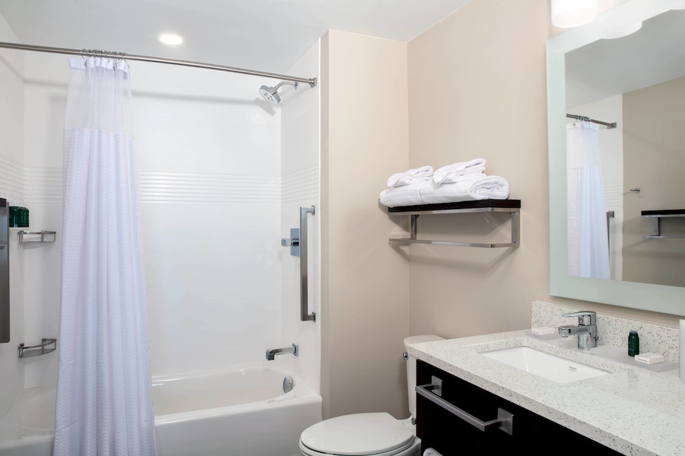 SpringHill Suites by Marriott Orlando Theme Parks/Lake Buena Vista 20/62