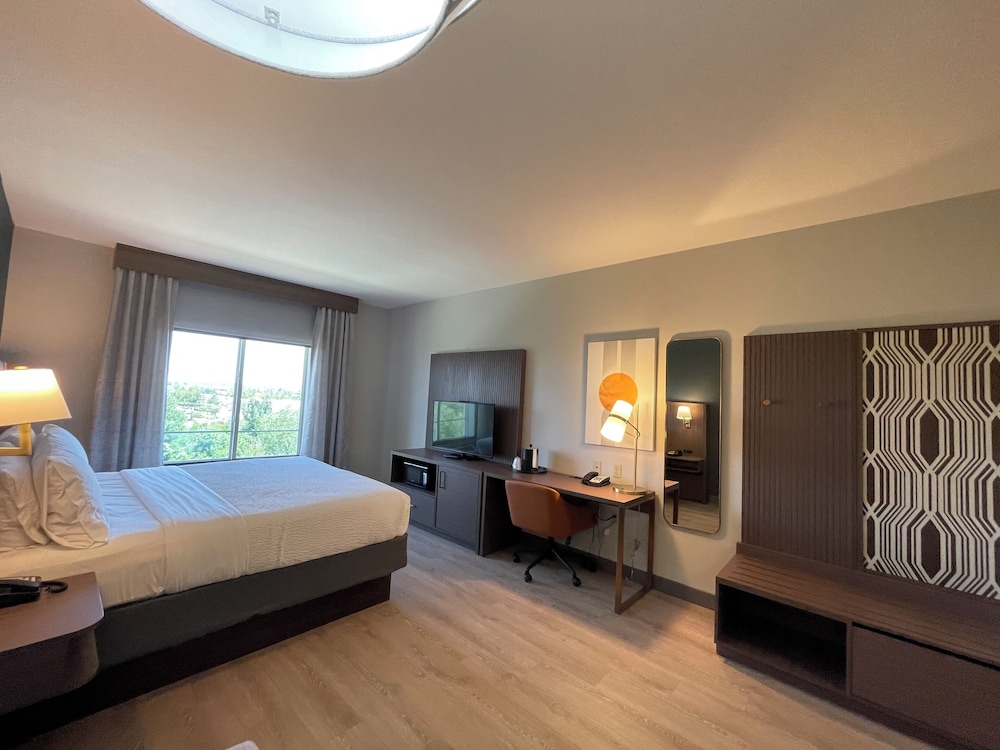 Standard, Queen Bed
