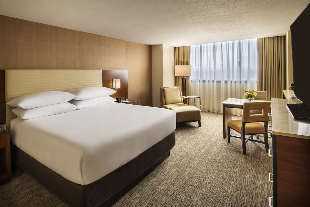 Room, King Bed