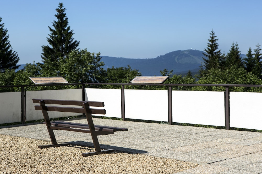 Orea Wellness Hotel Horizont 74/74