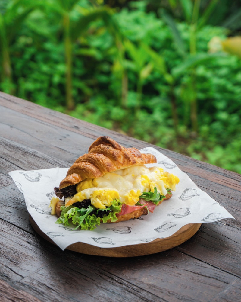 Kubu Manah Ubud 28/50