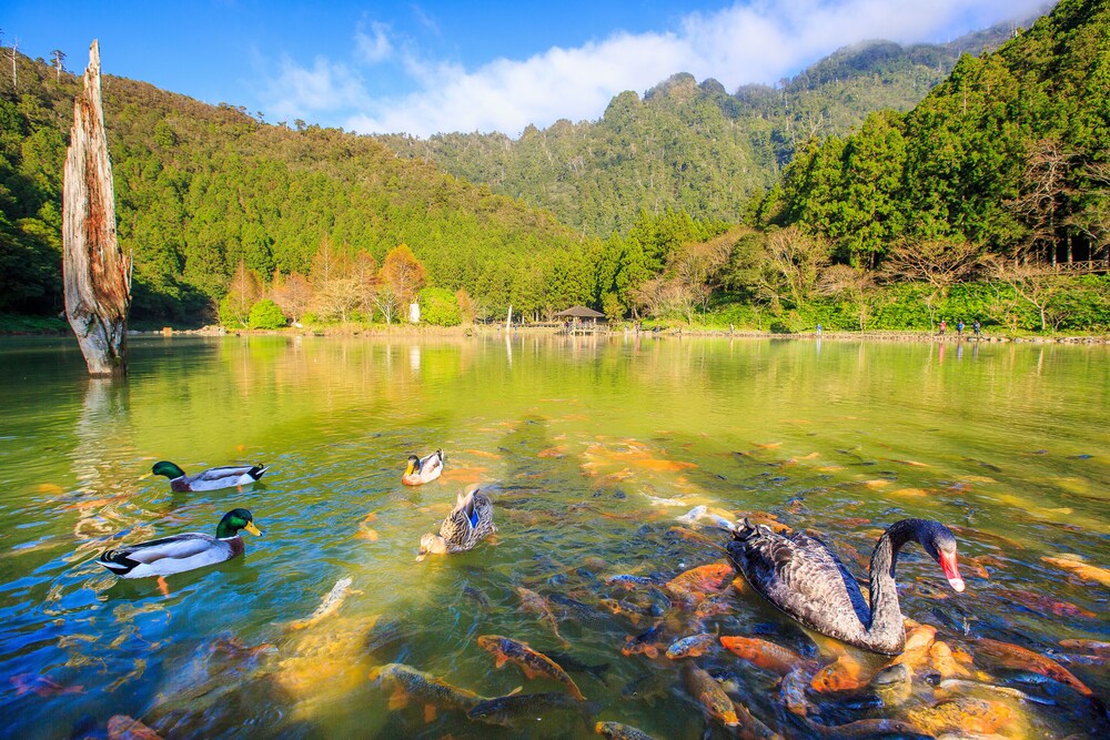 Mingchih Resort 28/40