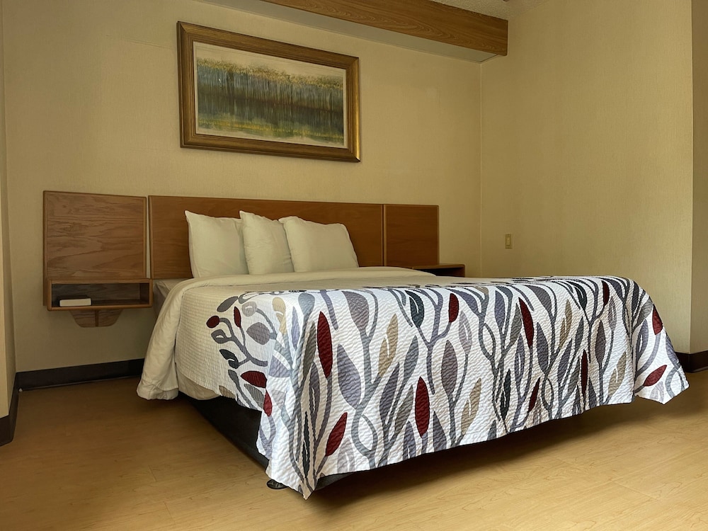 红屋顶酒店Branson, MO(Red Roof Inn Branson, MO) 图片4