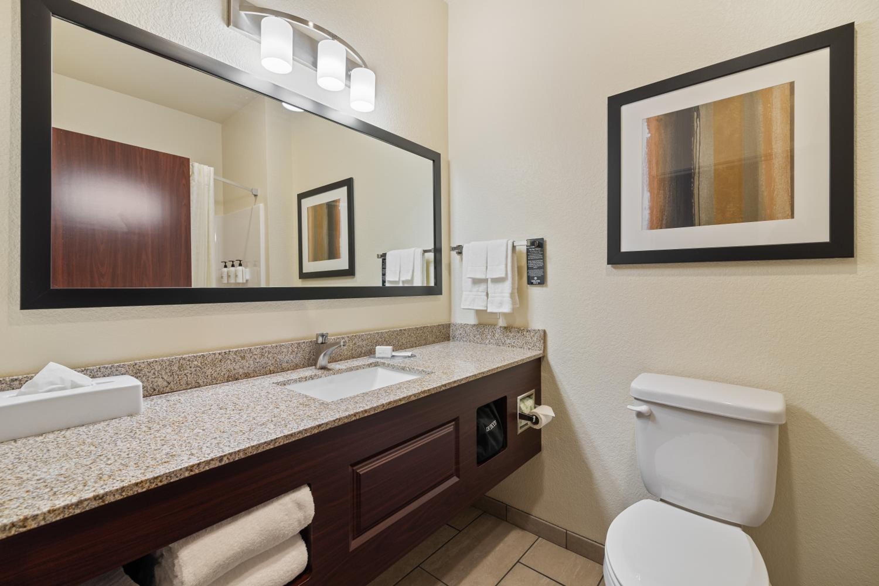 استوديو بسرير كوين، Cobblestone Hotel & Suites - Alpine 3/5