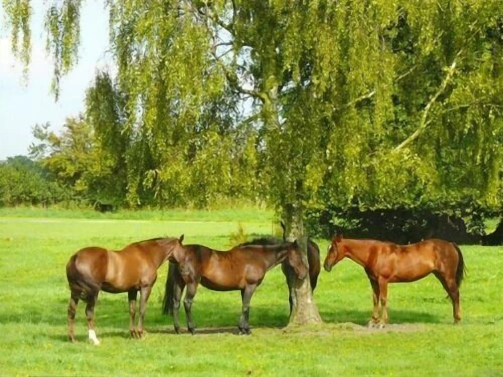 Blounts Court Farm - B&B 24/35