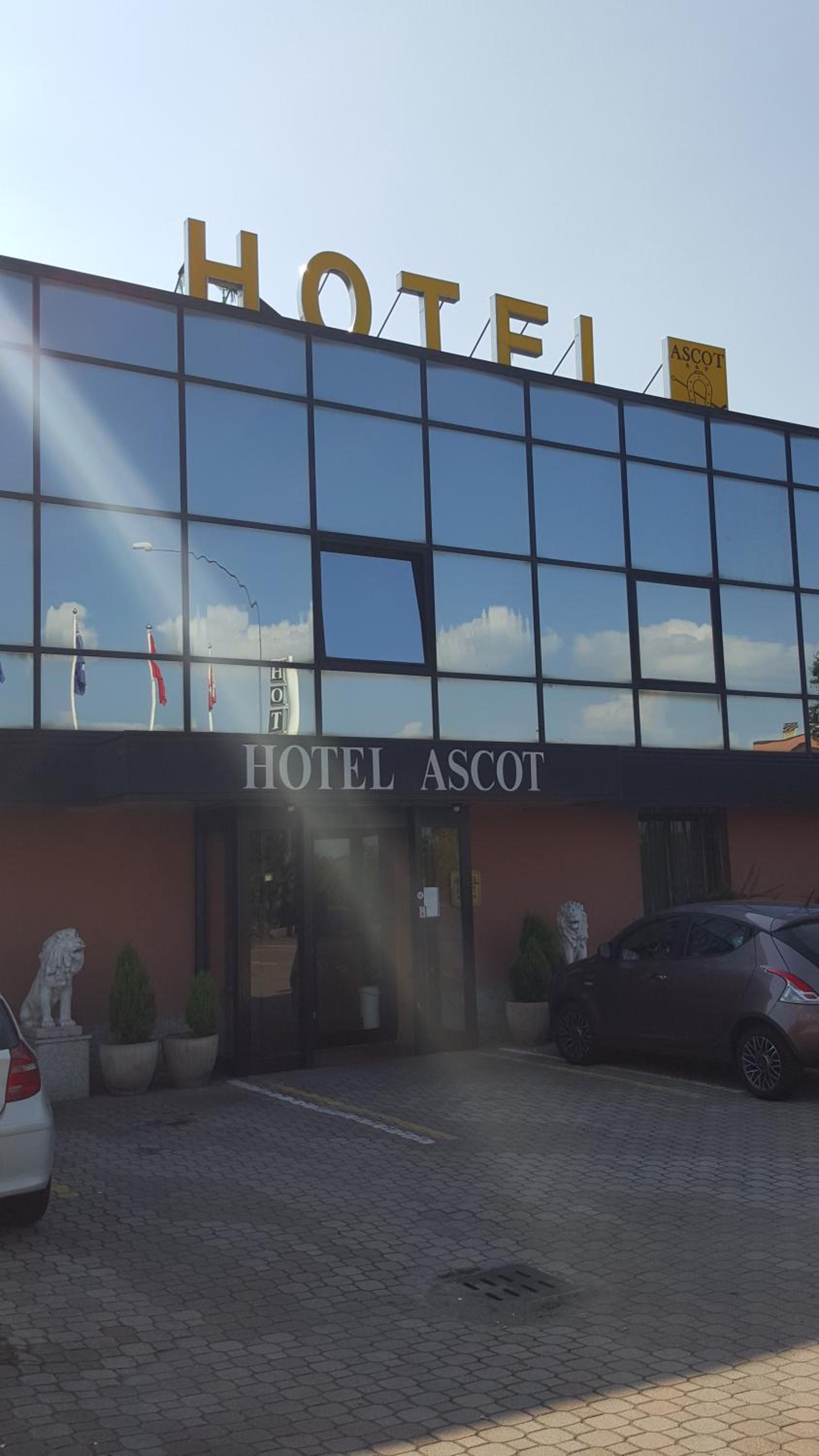 Ascot 49/52