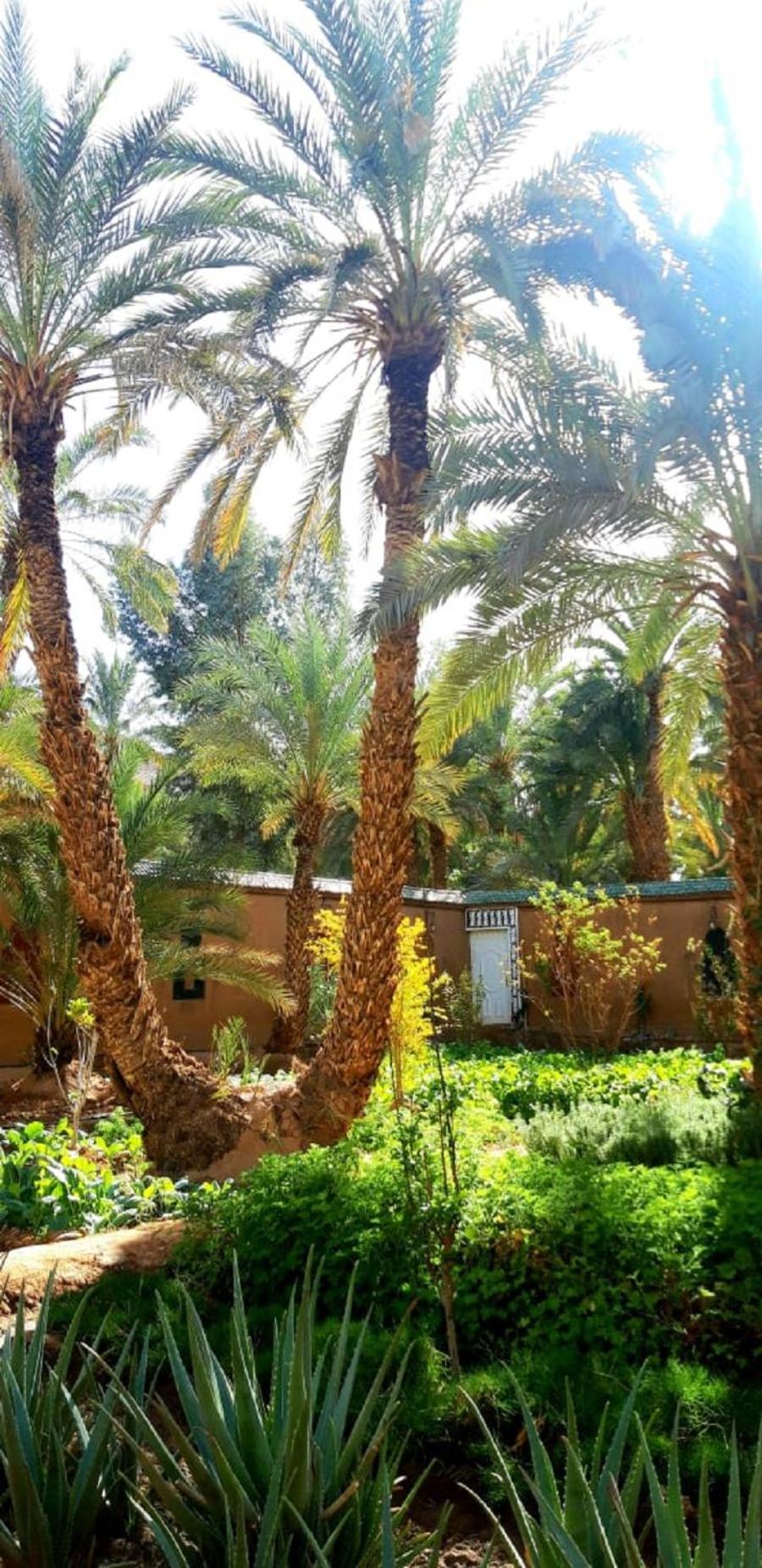 Riad Dar Soufiane 51/59