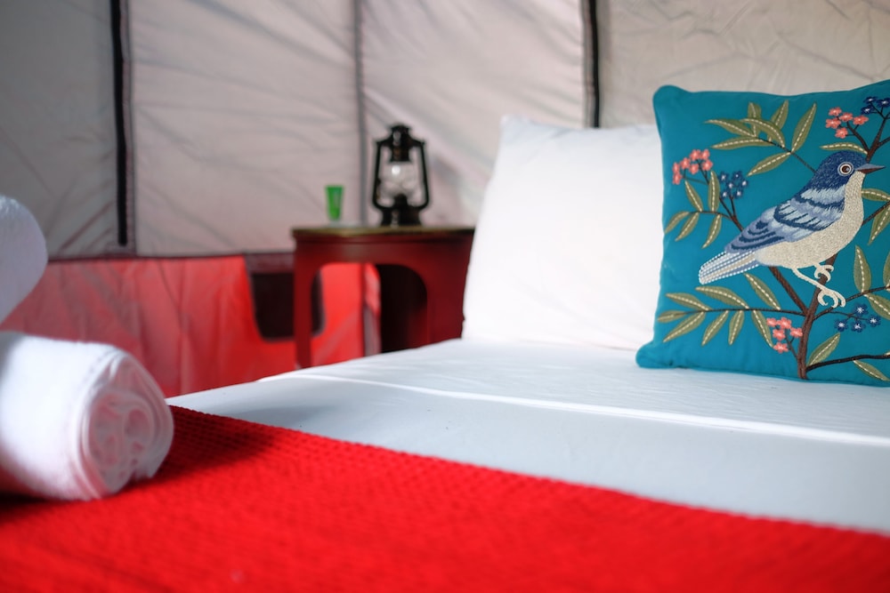 Panama House Bed & Breakfast 22/45