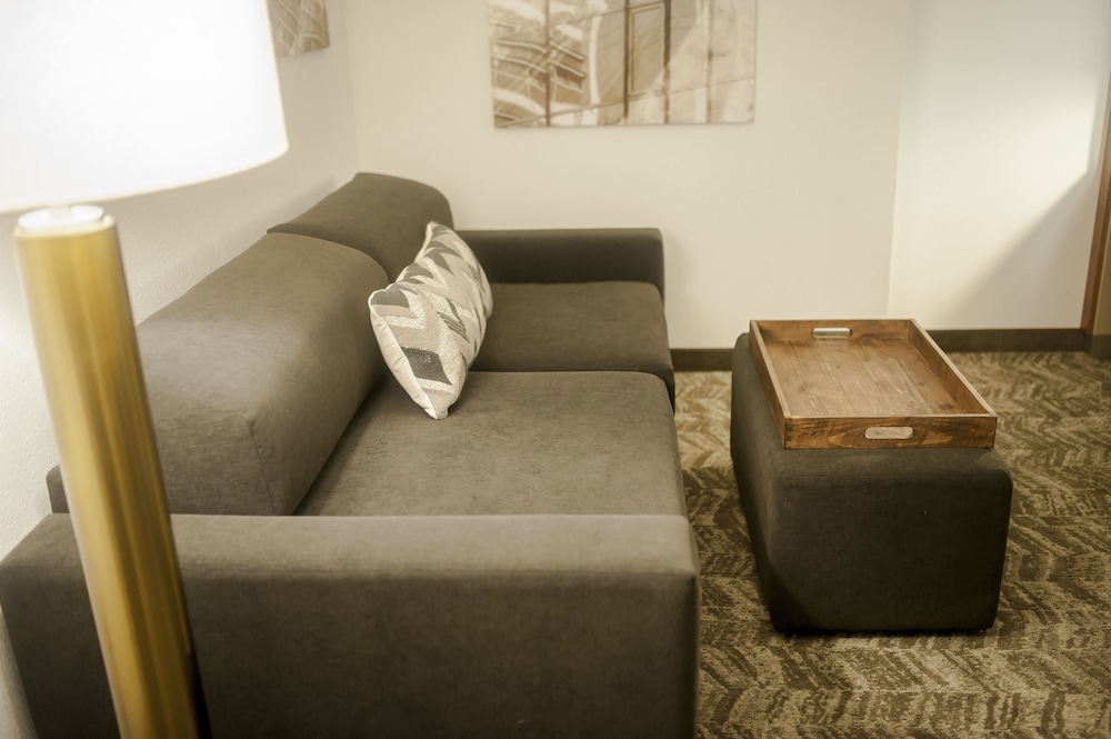 Springhill Suites by Marriott Midtown Cincinnati 35/52