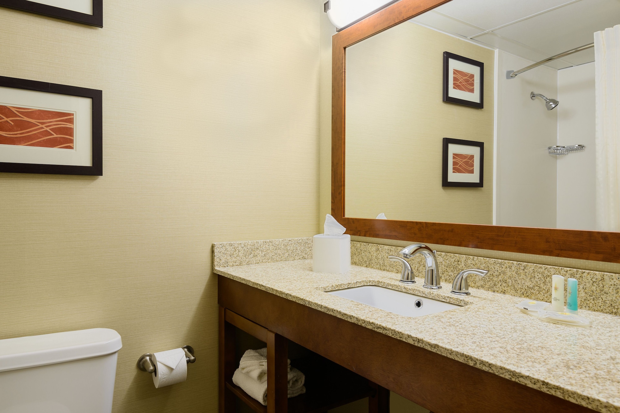غرفة بسرير كوين لذوي الإعاقة، Comfort Inn St. Louis - Westport Event Center 2/2