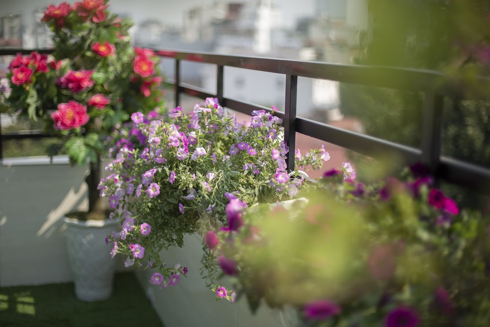 Hanoi Lotus Boutique Hotel 63/69