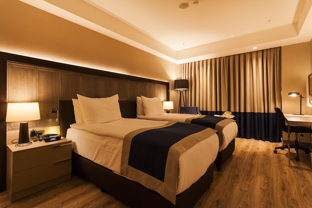 HOLIDAY INN KAYSERI - DUVENONU 22/62